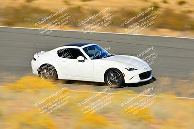 media/Nov-16-2024-Extreme Speed (Sat) [[6587d07cc4]]/Gold Group/Session 3 (The Bowl)/